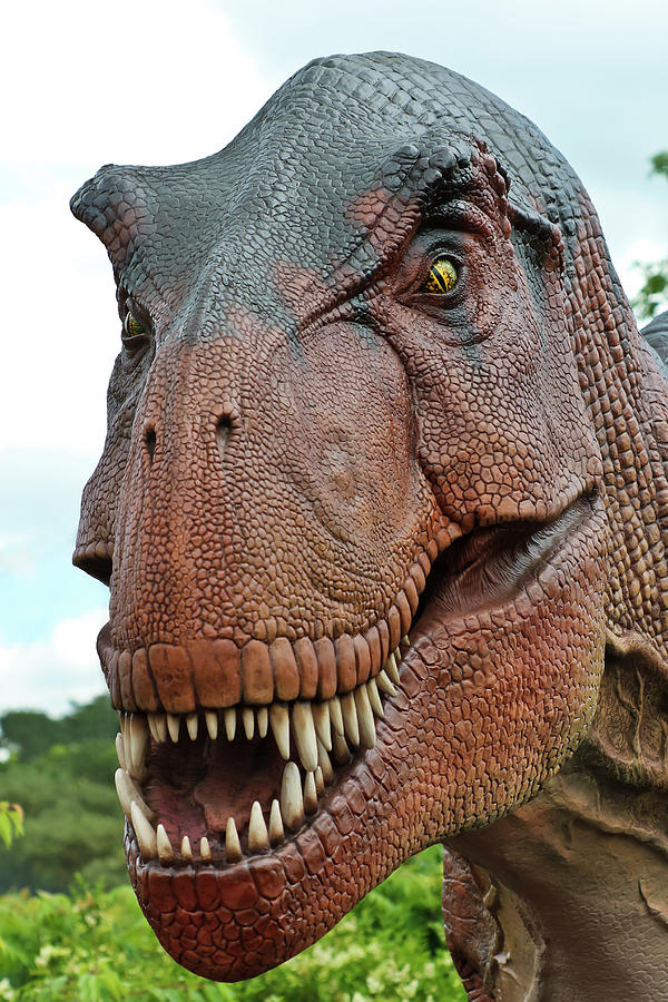 tyranno saurus