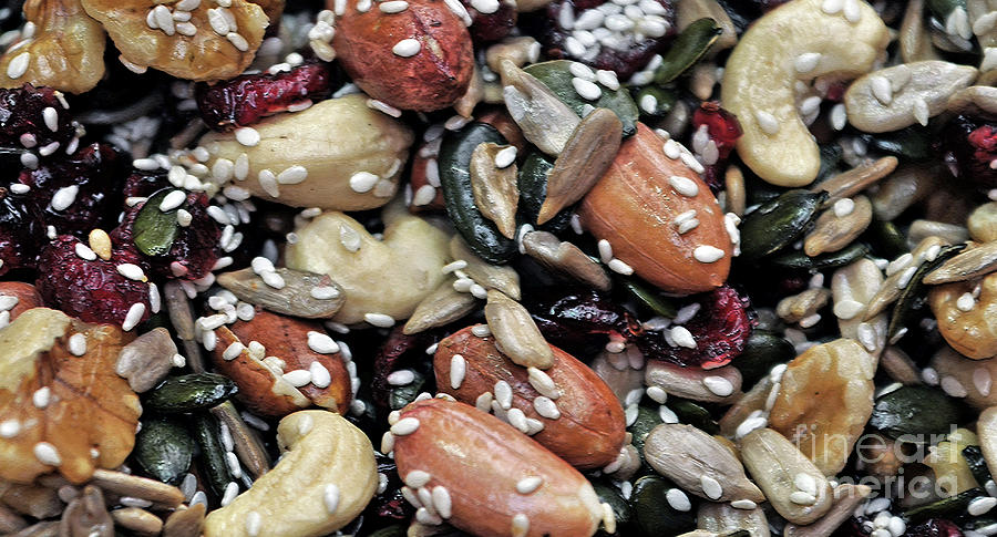 A Unique Kind of Granola No.2 Photograph by Lydia Holly