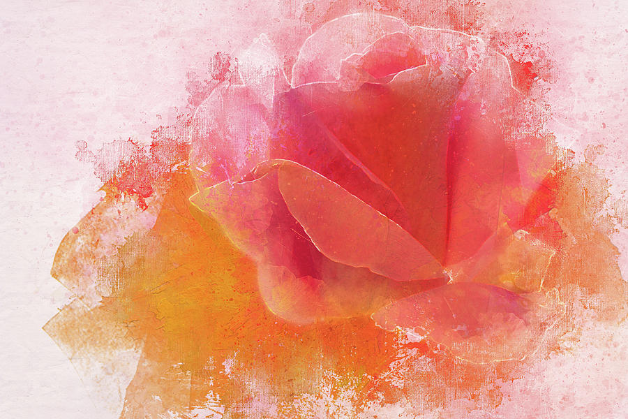 A Valentine Rose Digital Art by Terry Davis