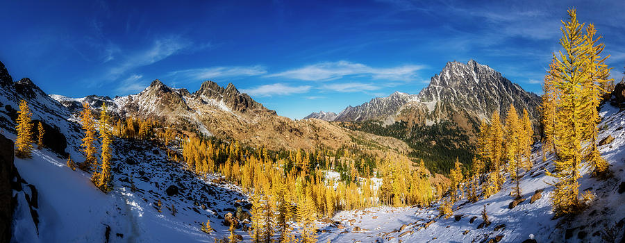 A Valley of Larches Photograph by Pelo Blanco Photo