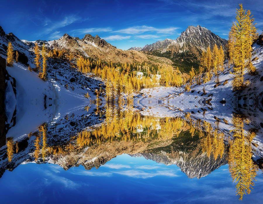 A Valley of Larches Reflection Digital Art by Pelo Blanco Photo