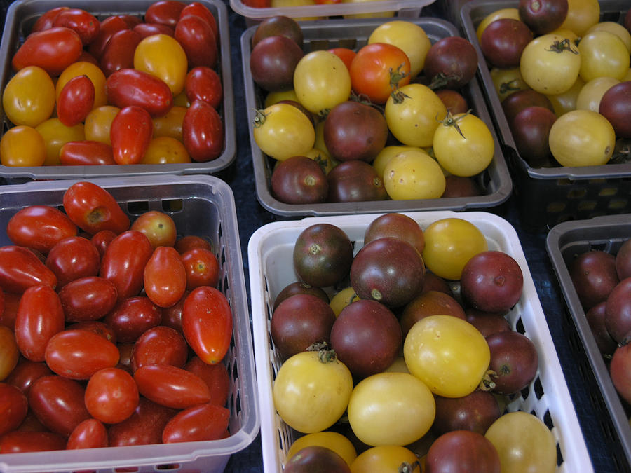 A Variety of Grape Tomatoes Photograph by Janis Beauchamp