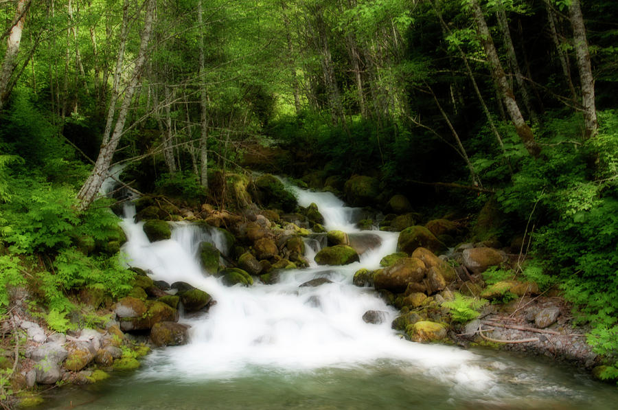 A Verdant Spring Photograph by Guy Paterson - Fine Art America