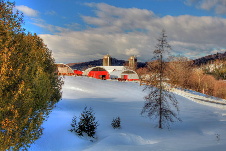 A Vermont Farm in Winter Photograph by Joann Vitali
