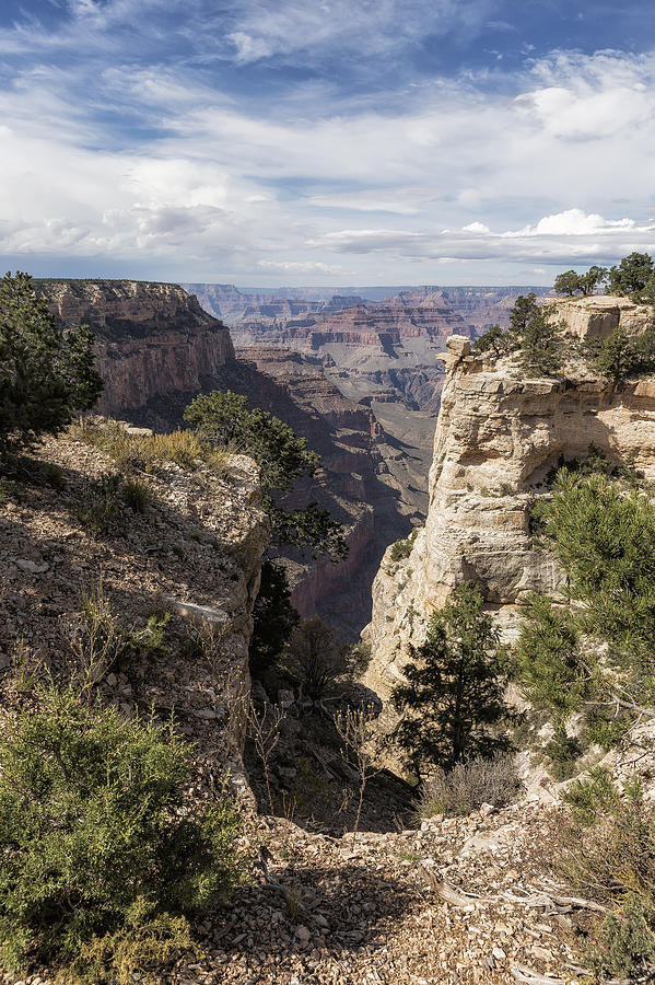 A Vertical View - Grand Canyon Photograph by Belinda Greb