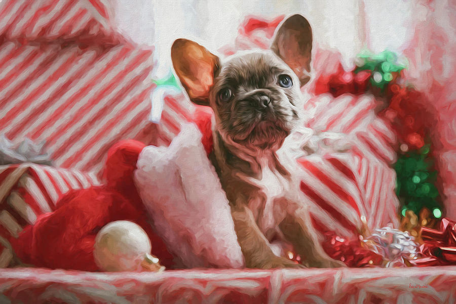A Very Frenchie Christmas - Painting Painting by Ericamaxine Price - Pixels