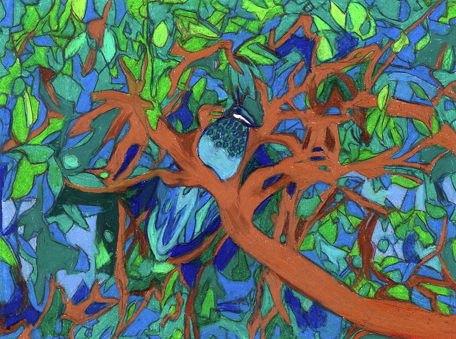 Peacock Painting - A Very Pretty Peacock in a Pear Tree by Denise Weaver Ross Peacock Painting - A Very Pretty Peacock in a Pear Tree by Denise Weaver Ross