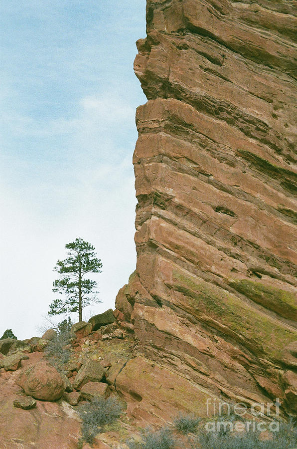 A Very Tall Rock Photograph by Ana V Ramirez