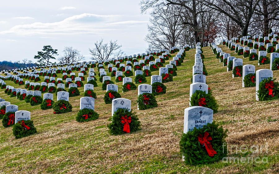 A Veterans Christmas Photograph by Paul Mashburn