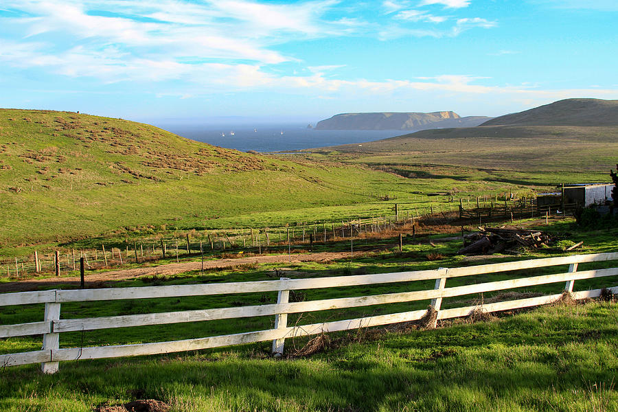 A View from C Ranch to Drakes Estero Point Reyes Photograph by Bonnie Follett
