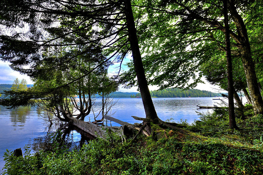 A View from Covewood Photograph by David Patterson