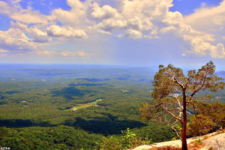 A View From Table Rock Photograph by Lisa Wooten
