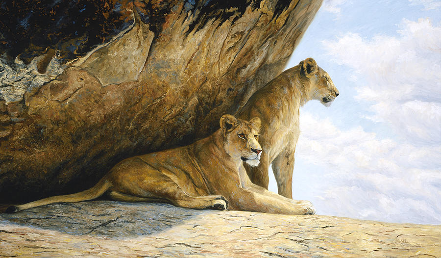 Lion Painting - A View from the Shade by Lucie Bilodeau