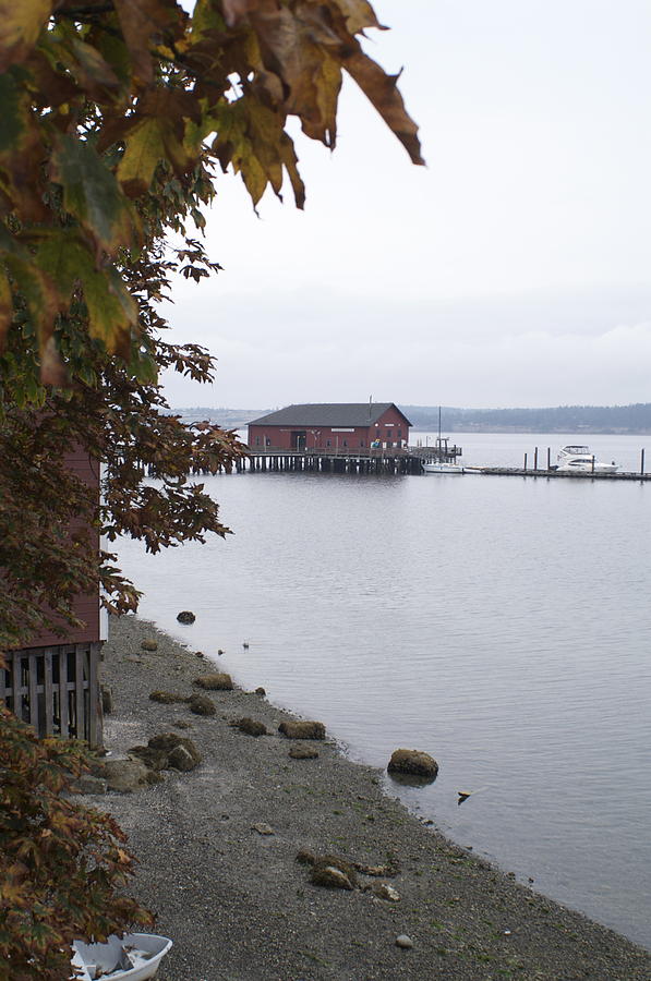 A view from Whidbey Photograph by Henri Irizarri