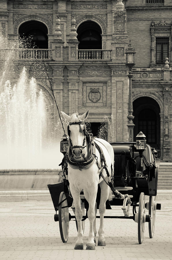 A view in black and white of Plaza de Espana  Photograph by AM FineArtPrints