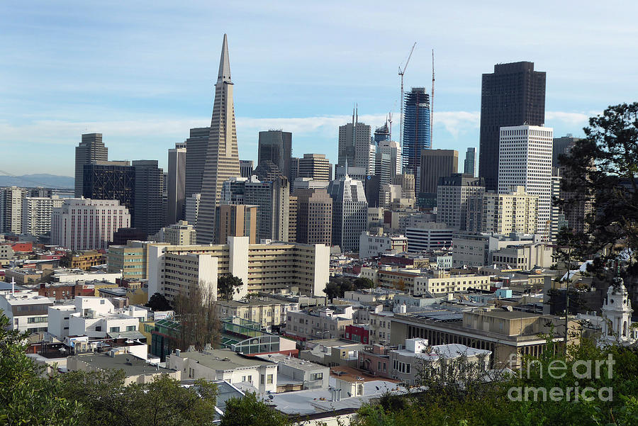 A View of Downtown from Nob Hill Photograph by Steven Spak
