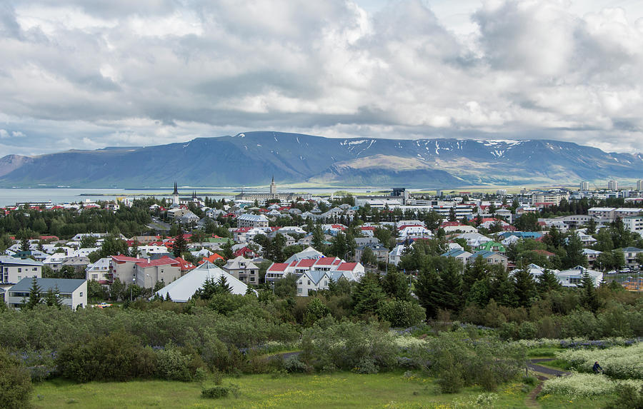 A View of Reykjavik, Iceland Photograph by Venetia Featherstone-Witty