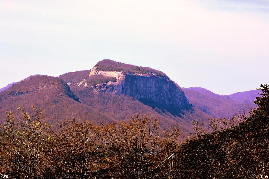 A View Of Table Rock Photograph by Lisa Wooten
