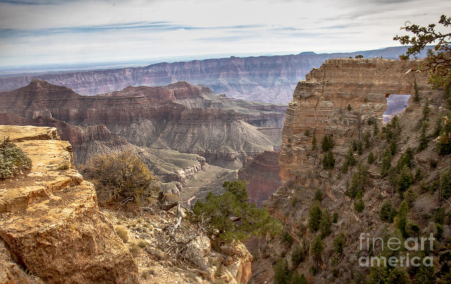 Grand Canyon National Park Photograph - A View Of The Angels  Window by Robert Bales