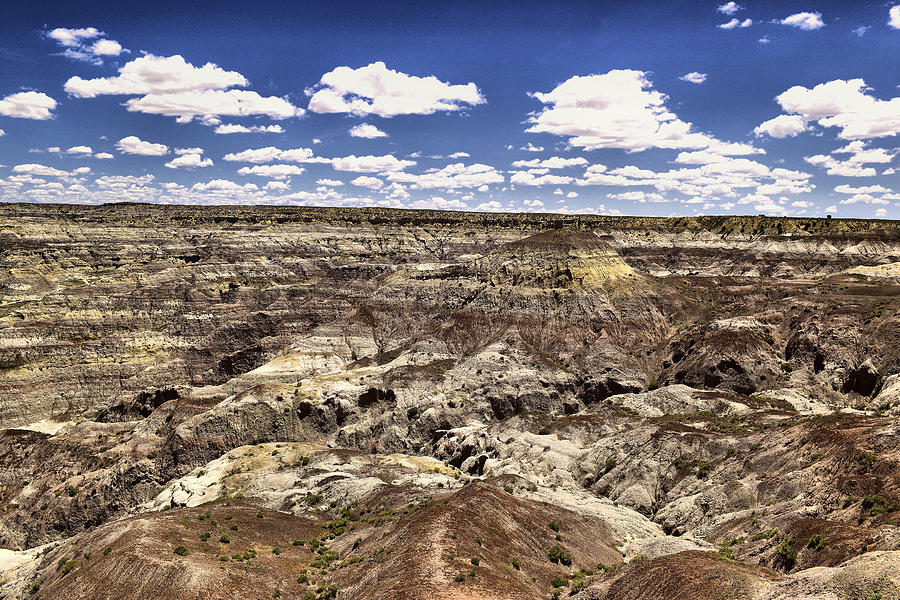 A view of the Bisti badlands New Mexico Photograph by Jeff Swan