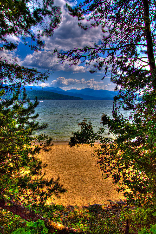 A View of the Lake Photograph by David Patterson