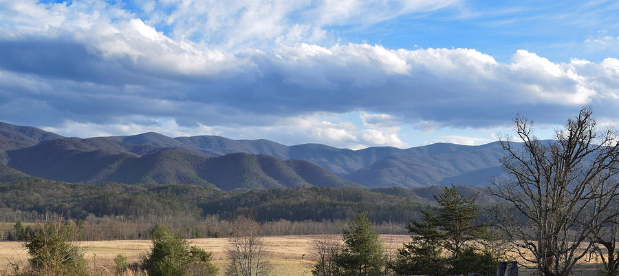 Mountain Photograph - A view of the Smoky Mountains by Allen Gray