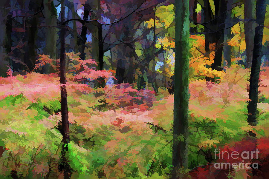 A View of The Woods in Fall Digital Art by Xine Segalas