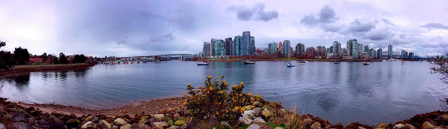 A View Of Vancouver Photograph by Mountain Dreams