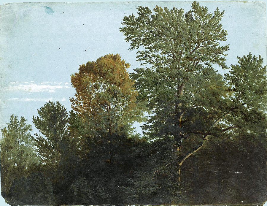 A View of Woodland Painting by Attributed to Heinrich Reinhold
