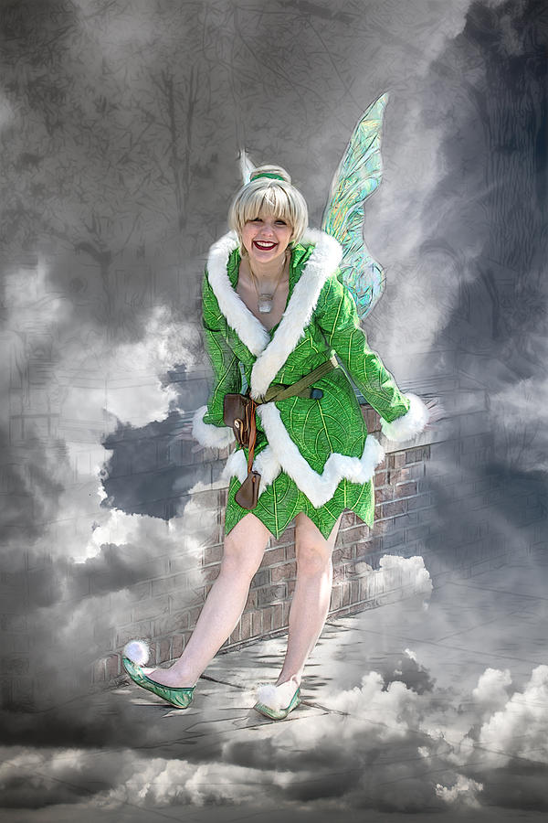 A Visit from the Tinker Fairy Photograph by John Haldane