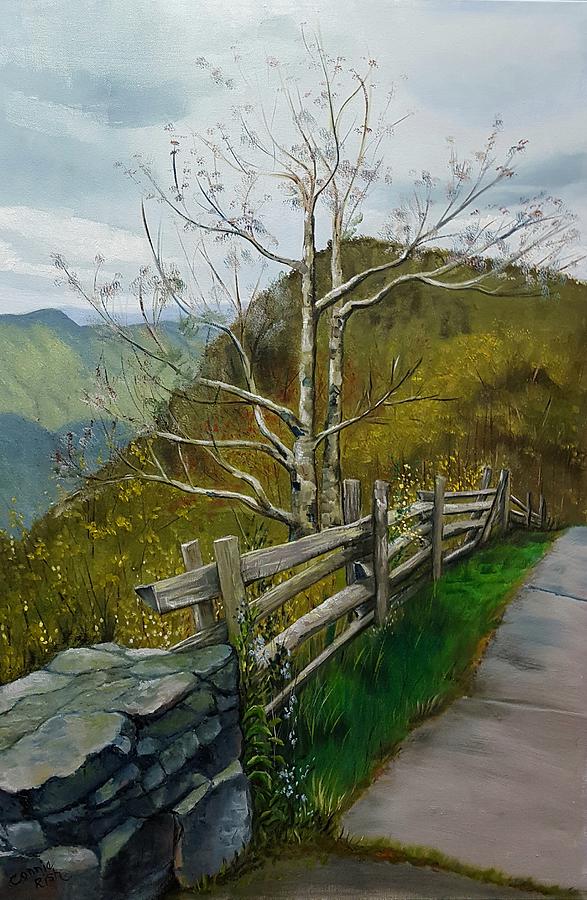 A Walk Along the Edge Painting by Connie Rish