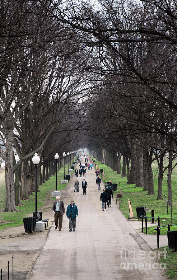 A Walk Along the National Mall in Washington DC Photograph by William Kuta