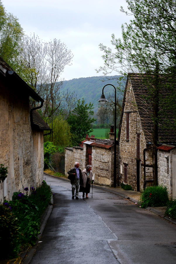 A Walk in Giverny Photograph by Nancy Bradley
