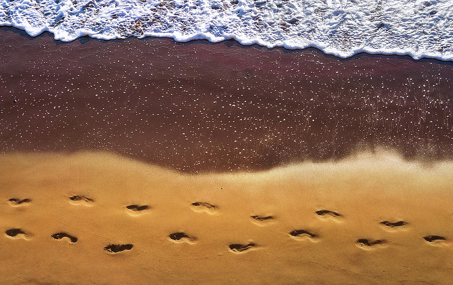 A walk in the beach Photograph by Mikel Martinez de Osaba
