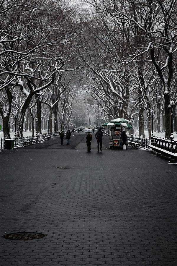 A Walk in the Park by Anthony Fields A Walk in the Park by Anthony Fields