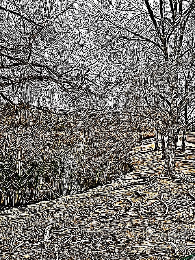 A Walk In The Park by Bridgette Gomes A Walk In The Park by Bridgette Gomes