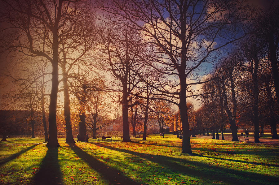 A Walk In The Park Photograph by Carol Japp