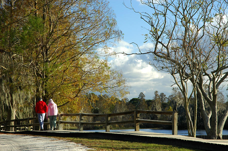 A Walk In The Park Photograph by Carolyn Marshall