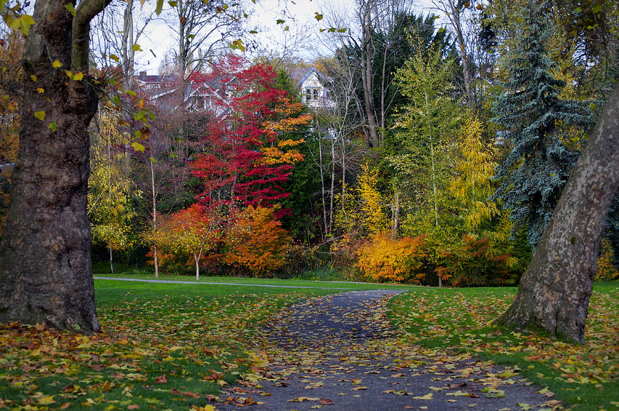 Nature Photograph - A Walk in the Park by Emerita Wheeling