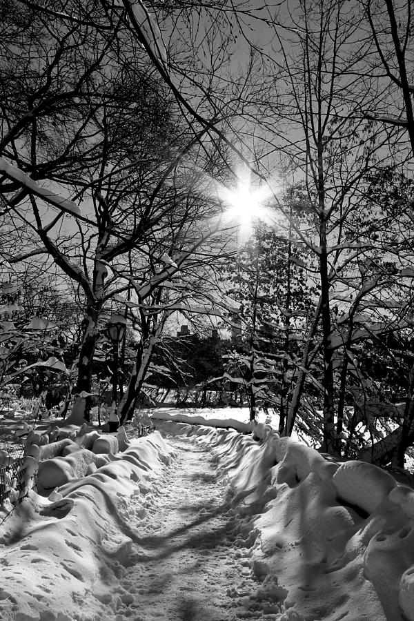 Central Park Photograph - A Walk in the Snow by Catie Canetti