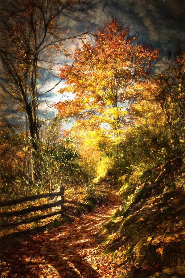 Fall Digital Art - The Lighted Path by John Haldane