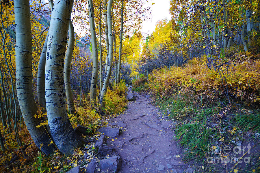 A Walk In The Woods by Kate Avery A Walk In The Woods by Kate Avery