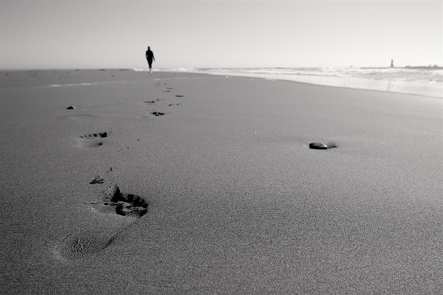 A Walk On The Beach Photograph