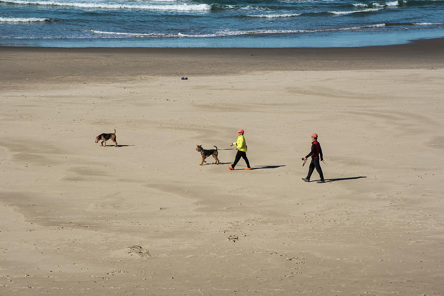 A Walk on the Beach Photograph by Tom Cochran