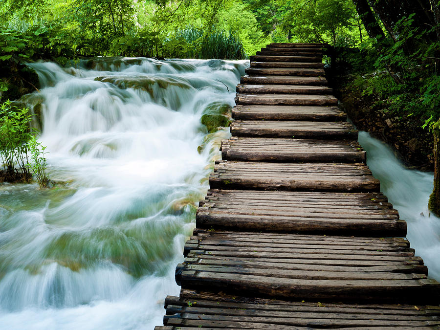 A Walk Through Flowing Water Photograph by Rae Tucker - Fine Art America