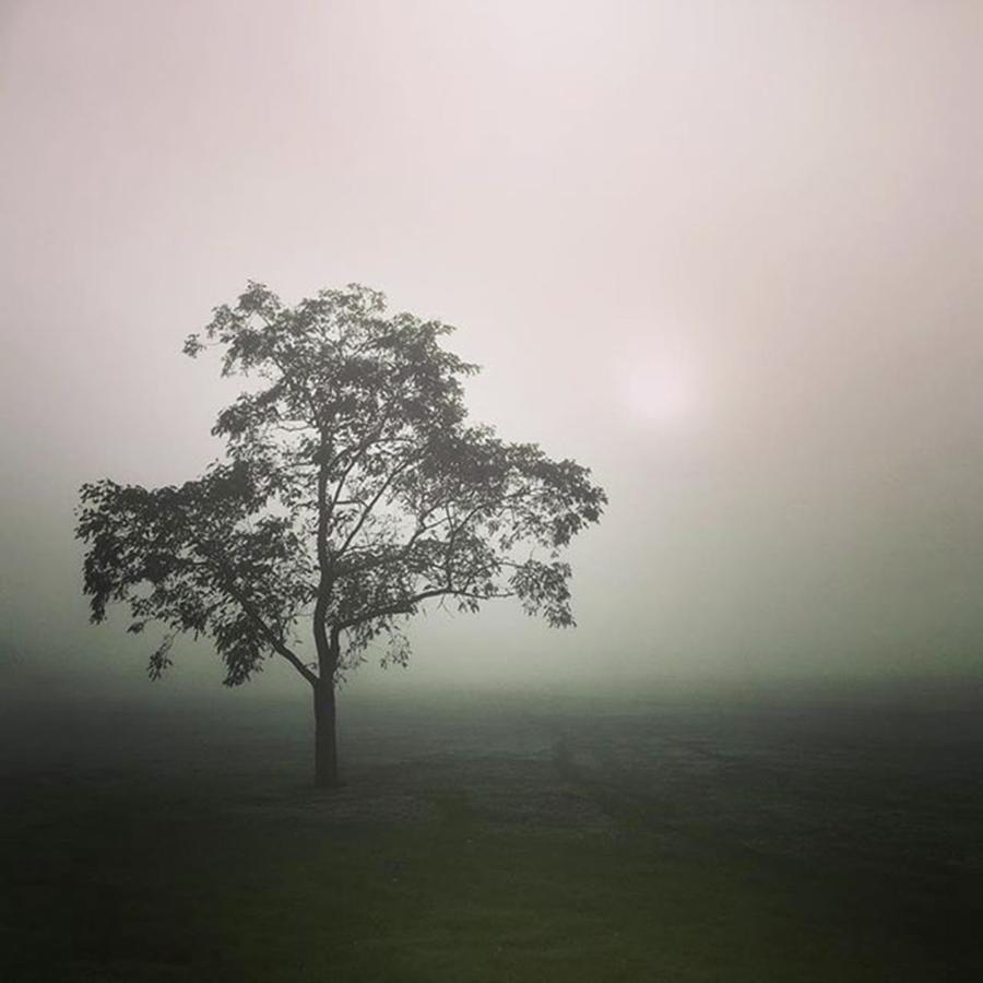 Fog Photograph - A Walk Through The Clouds #fog #nuneaton by John Edwards