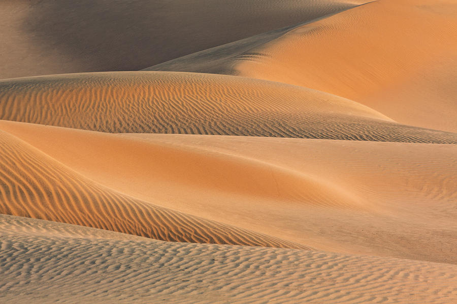 Death Valley National Park Photograph - A Walk To Take by Jon Glaser
