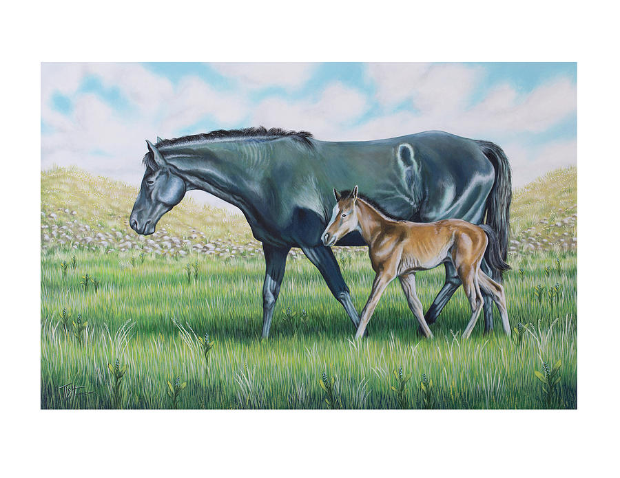 A Walk with Mom by Tish Wynne A Walk with Mom by Tish Wynne