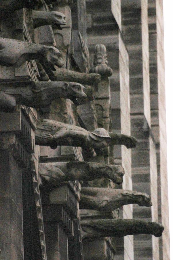 A Wall of Gargoyles Notre dame cathedral Photograph by Christopher J Kirby
