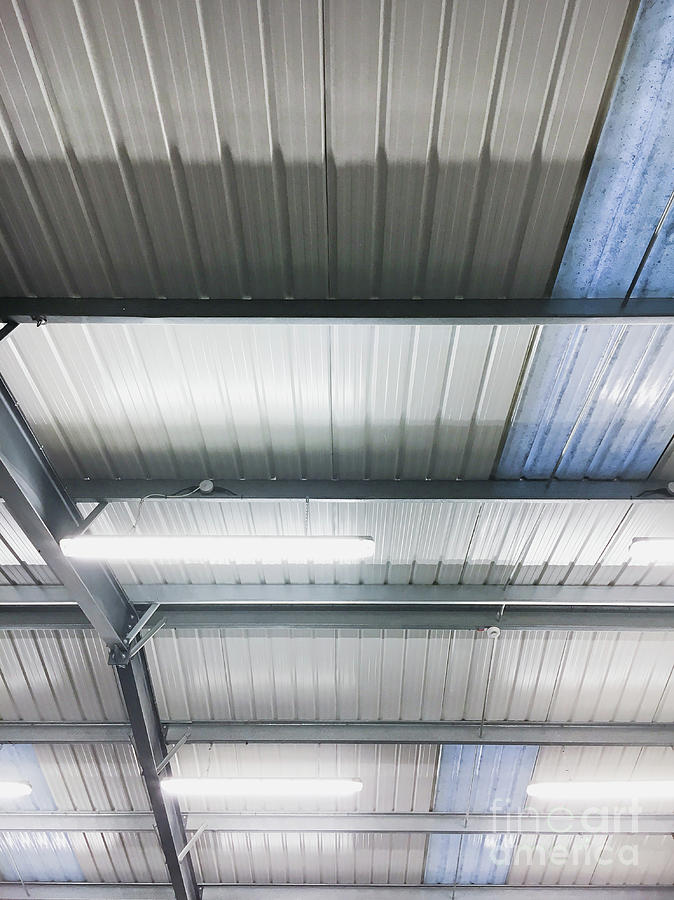 A warehouse ceiling Photograph by Tom Gowanlock